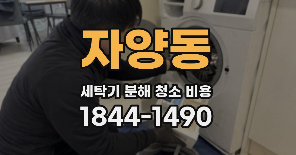 자양동 세탁기 분해 청소 비용