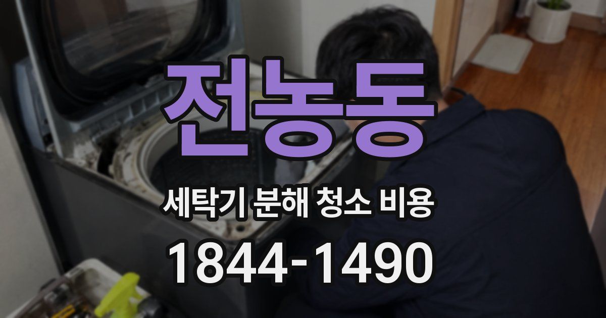 전농동 세탁기 분해 청소 비용