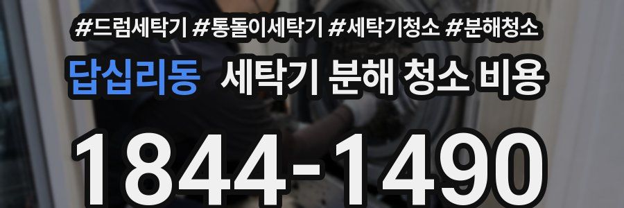 답십리동 세탁기 분해 청소 비용