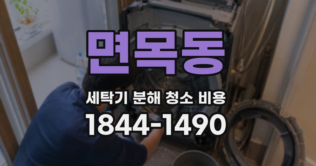 면목동 세탁기 분해 청소 비용