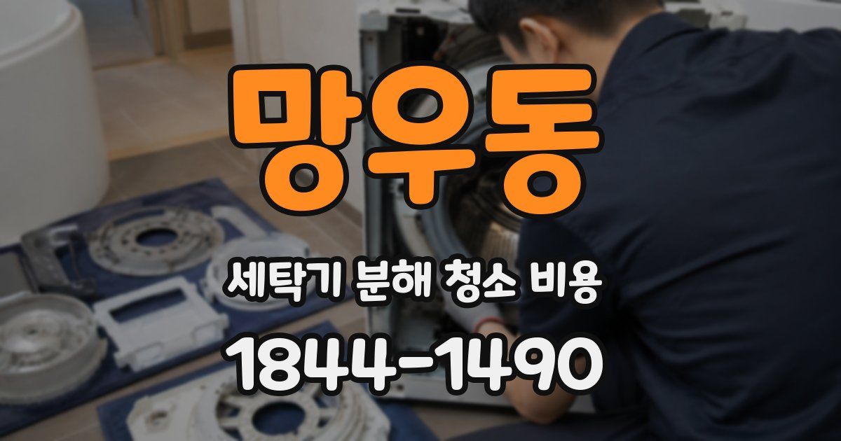 망우동 세탁기 분해 청소 비용