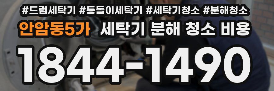 안암동5가 세탁기 분해 청소 비용