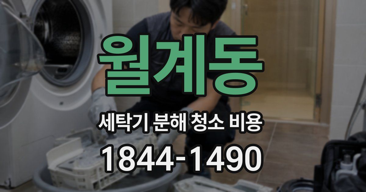 월계동 세탁기 분해 청소 비용