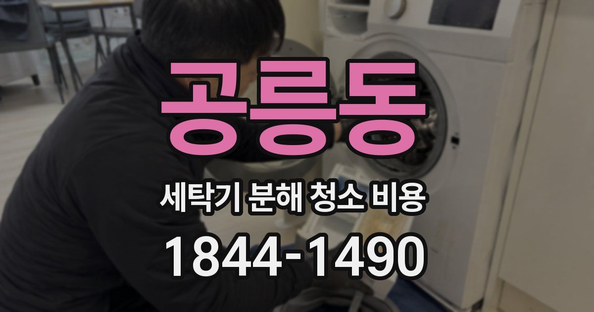 공릉동 세탁기 분해 청소 비용