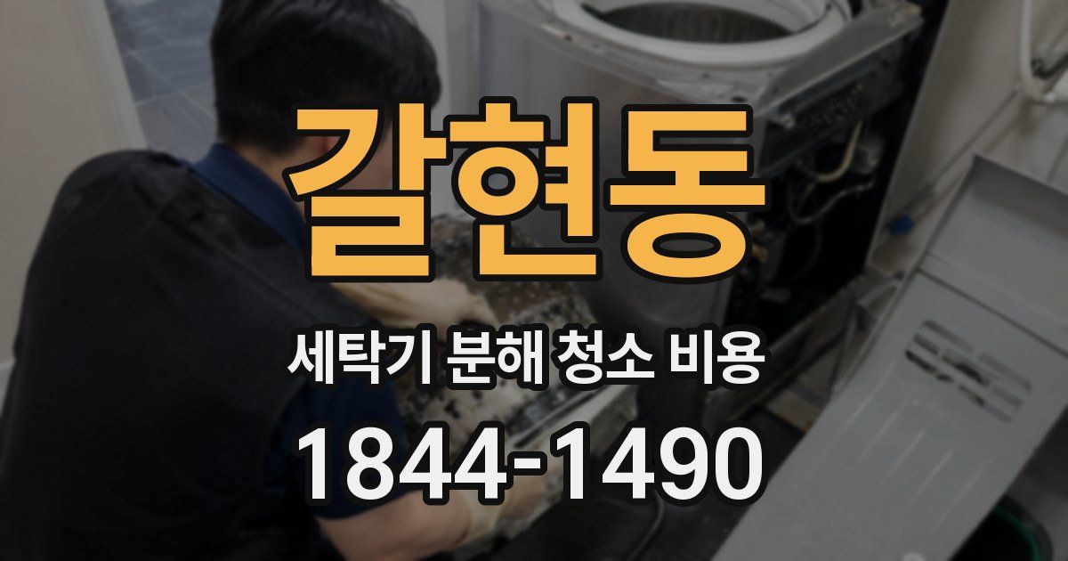 갈현동 세탁기 분해 청소 비용