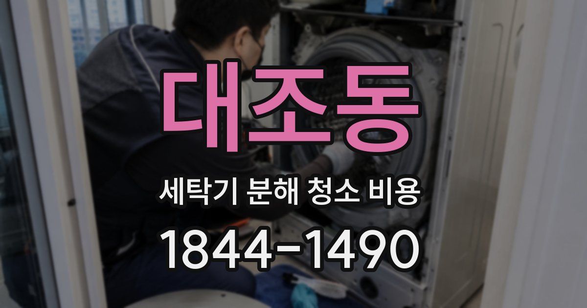 대조동 세탁기 분해 청소 비용