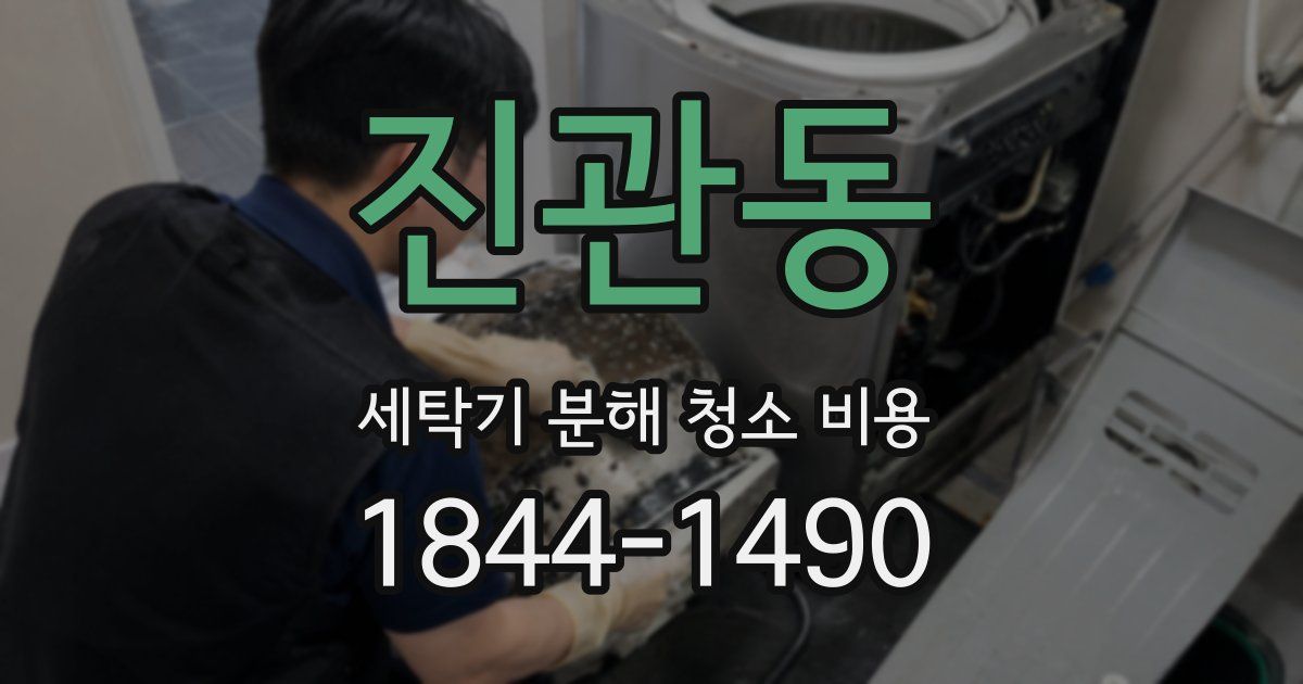 진관동 세탁기 분해 청소 비용