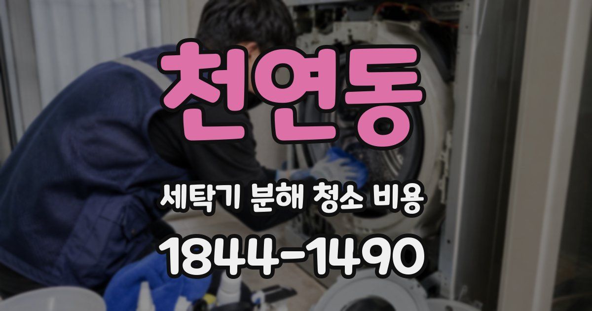 천연동 세탁기 분해 청소 비용