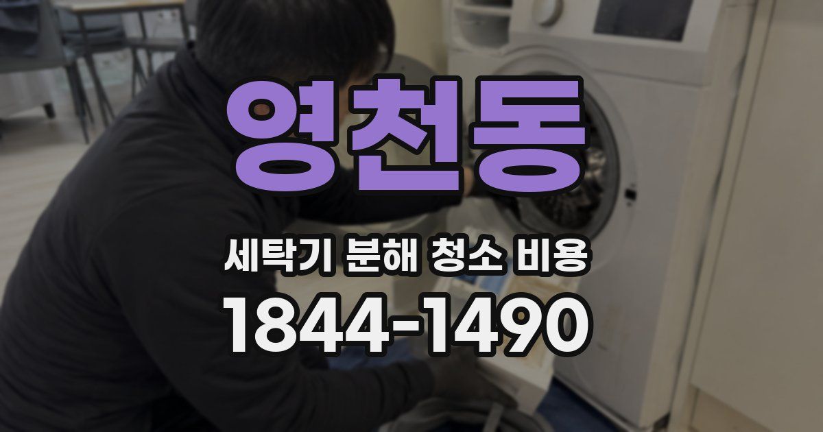 영천동 세탁기 분해 청소 비용