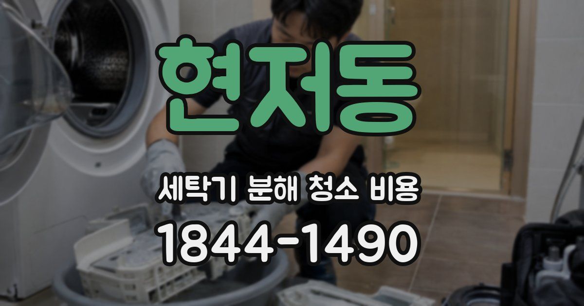 현저동 세탁기 분해 청소 비용
