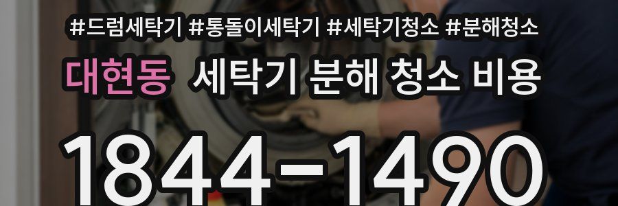 대현동 세탁기 분해 청소 비용