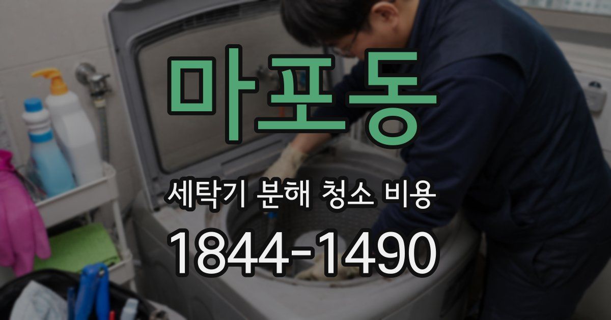 마포동 세탁기 분해 청소 비용