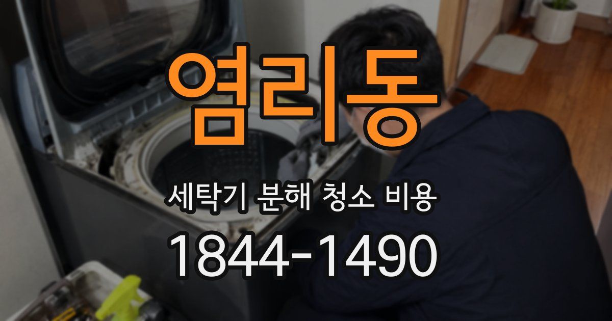 염리동 세탁기 분해 청소 비용