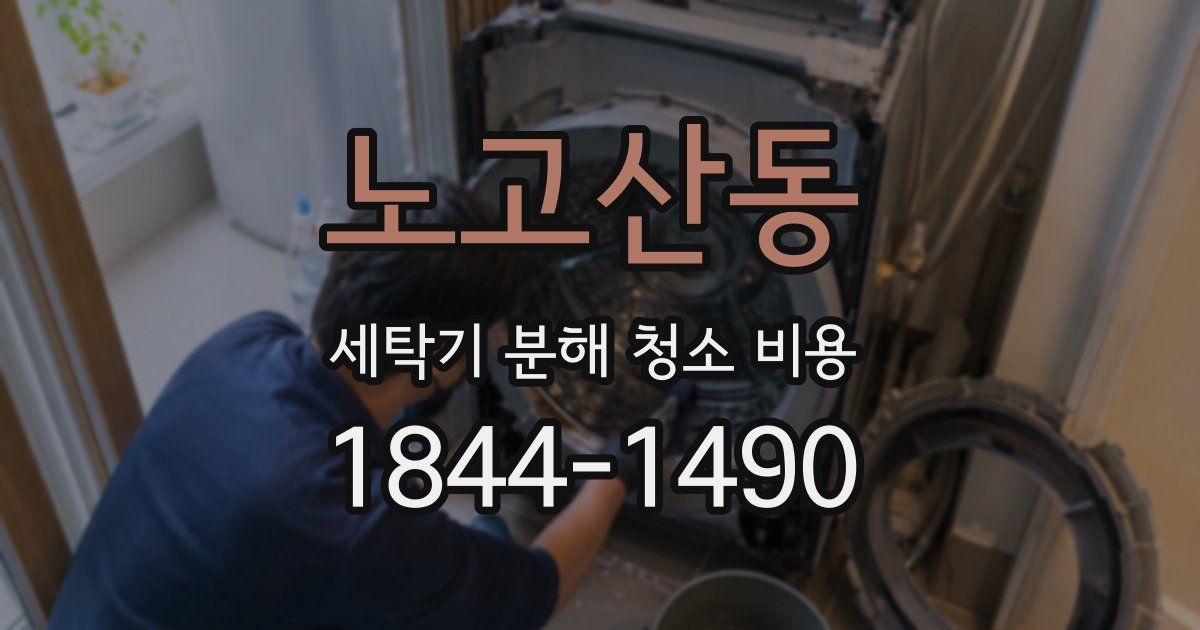 노고산동 세탁기 분해 청소 비용