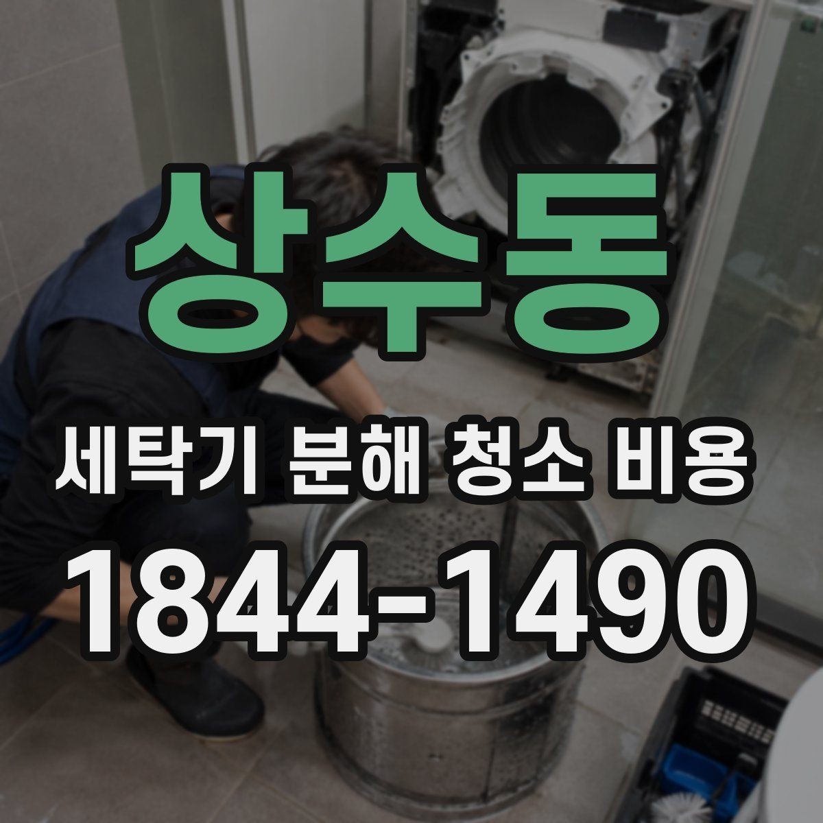 상수동 세탁기 분해 청소 비용 애완동물 털 많은 집에서 더 신경 쓸 부분