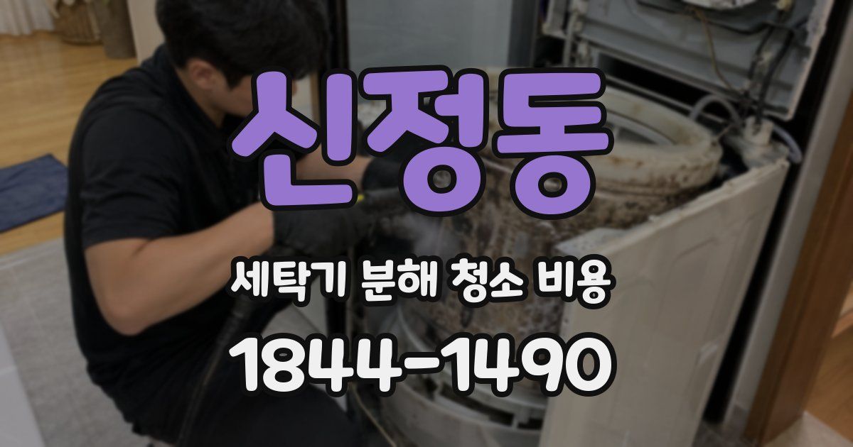 신정동 세탁기 분해 청소 비용