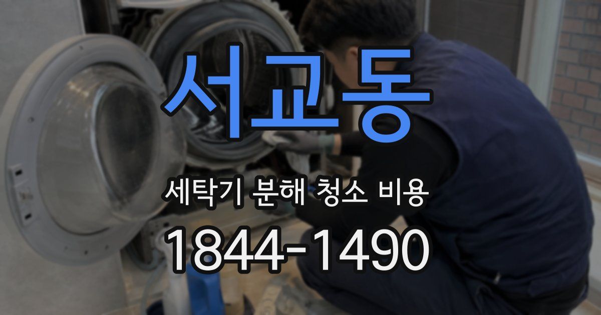 서교동 세탁기 분해 청소 비용