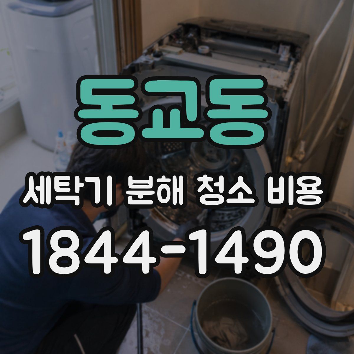 동교동 세탁기 분해 청소 비용