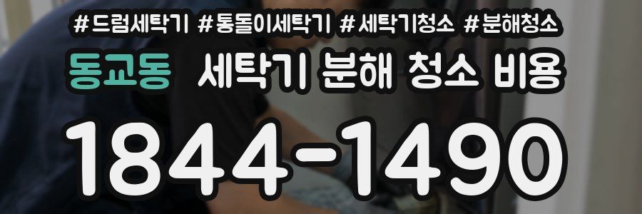 동교동 세탁기 분해 청소 비용