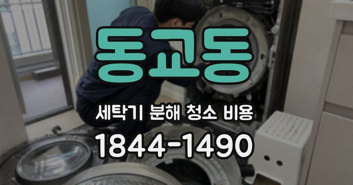 동교동 세탁기 분해 청소 비용