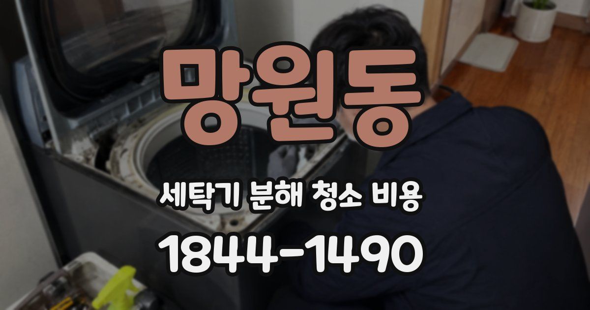 망원동 세탁기 분해 청소 비용