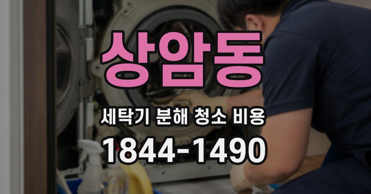 상암동 세탁기 분해 청소 비용
