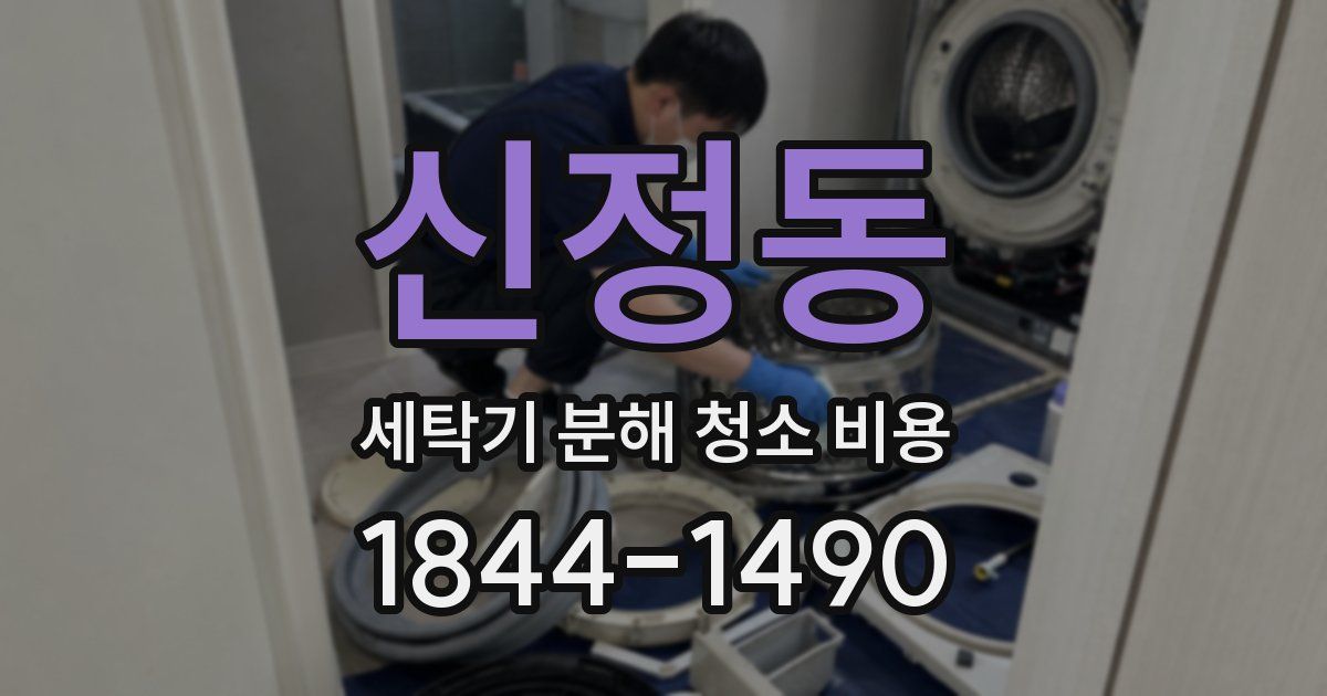 신정동 세탁기 분해 청소 비용