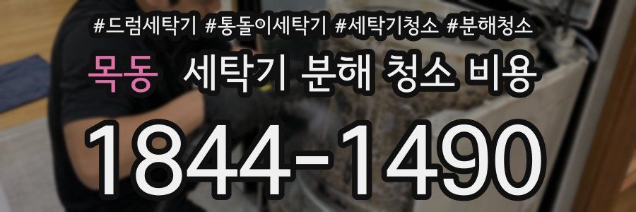 목동 세탁기 분해 청소 비용