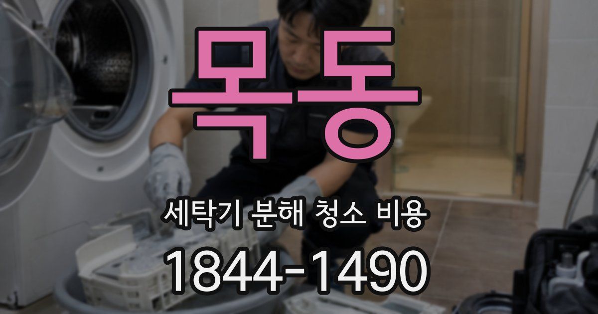 목동 세탁기 분해 청소 비용