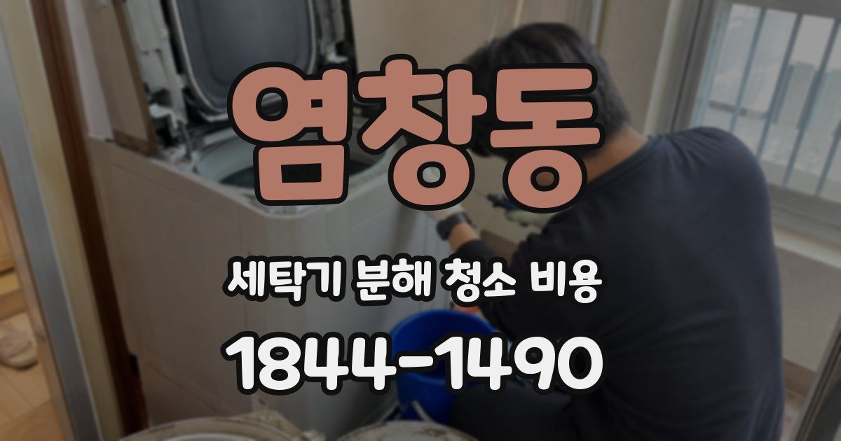 염창동 세탁기 분해 청소 비용