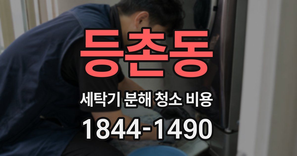 등촌동 세탁기 분해 청소 비용