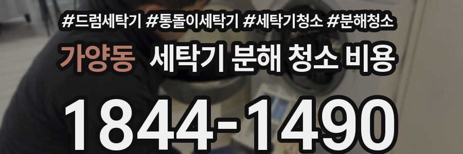 가양동 세탁기 분해 청소 비용
