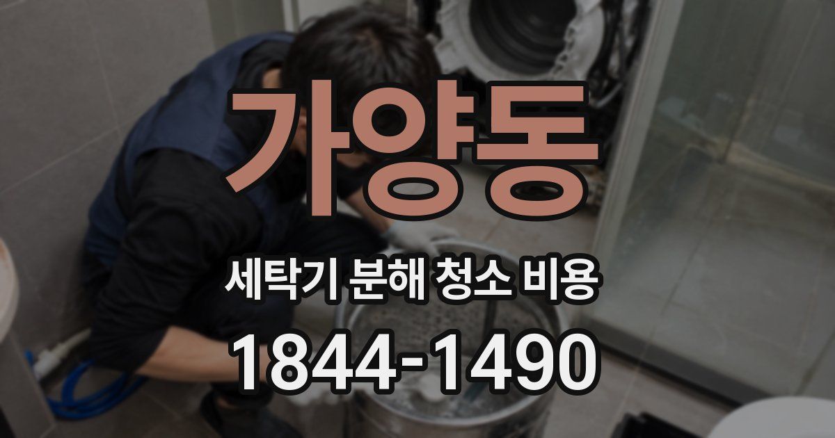가양동 세탁기 분해 청소 비용