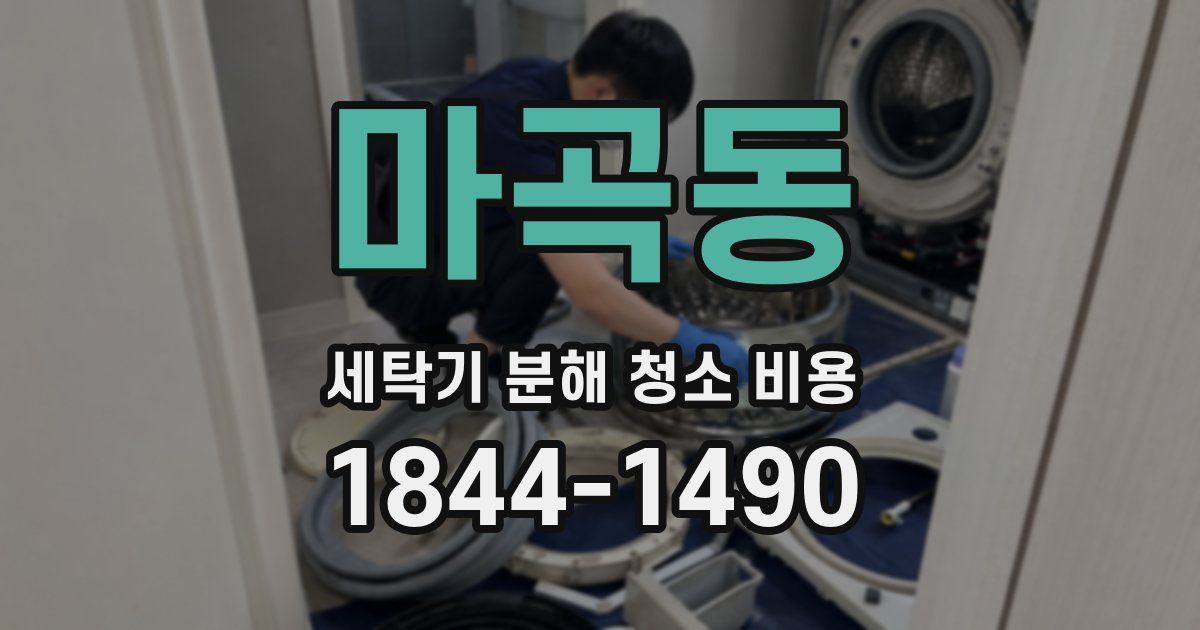 마곡동 세탁기 분해 청소 비용
