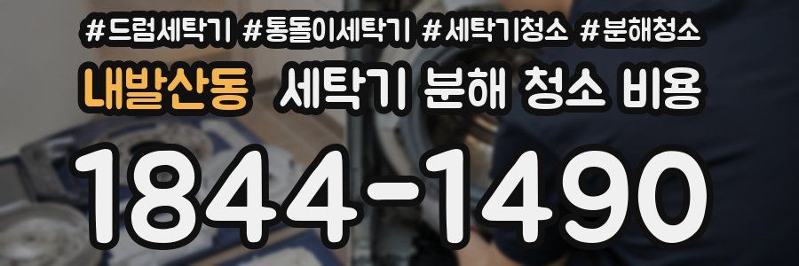 내발산동 세탁기 분해 청소 비용