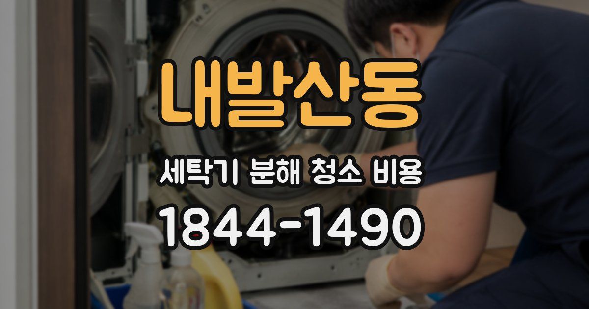 내발산동 세탁기 분해 청소 비용