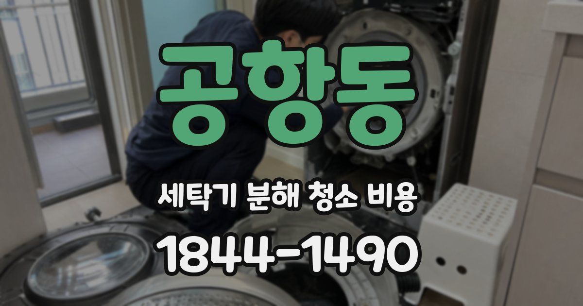 공항동 세탁기 분해 청소 비용