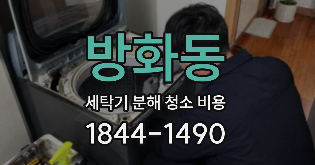 방화동 세탁기 분해 청소 비용