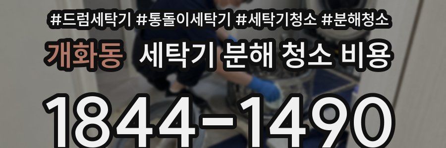 개화동 세탁기 분해 청소 비용