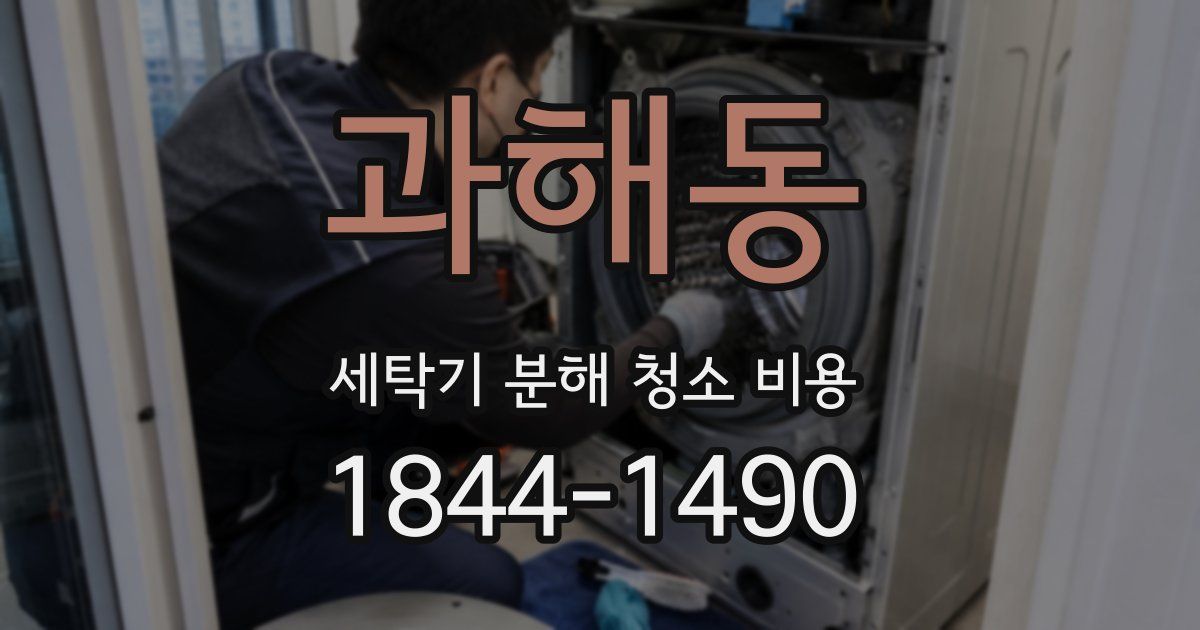 과해동 세탁기 분해 청소 비용