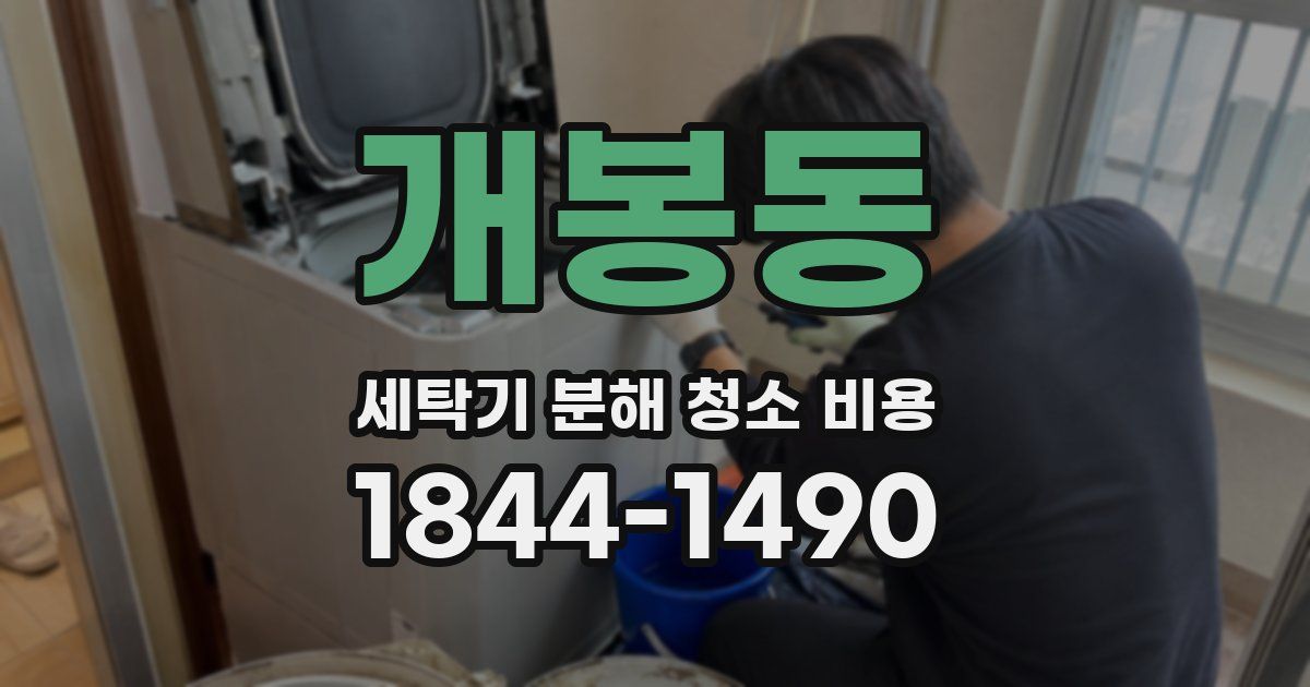 개봉동 세탁기 분해 청소 비용