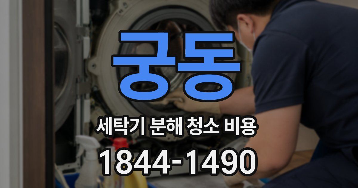 궁동 세탁기 분해 청소 비용