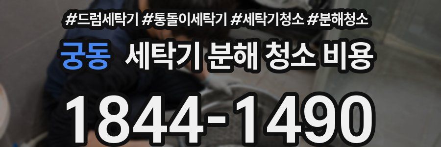 궁동 세탁기 분해 청소 비용