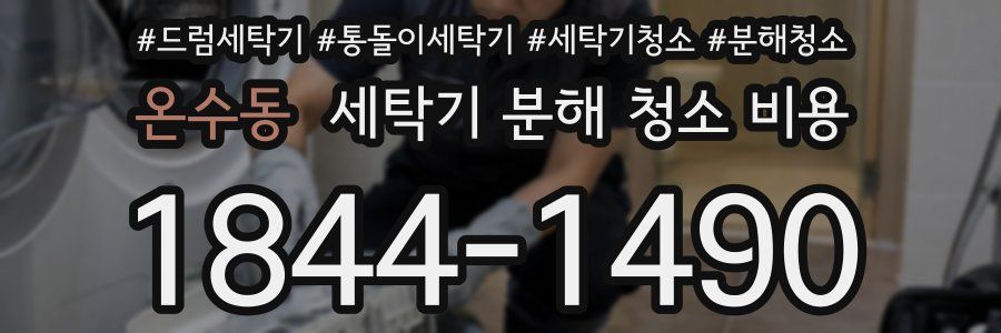 온수동 세탁기 분해 청소 비용