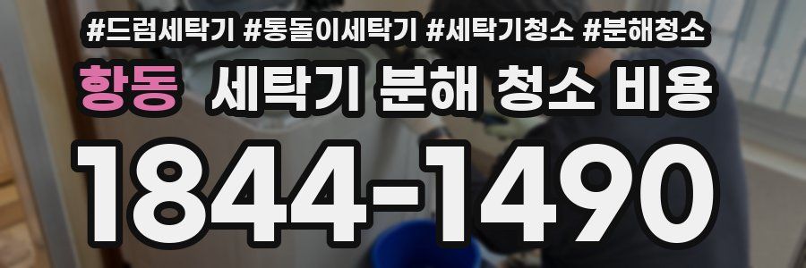 항동 세탁기 분해 청소 비용