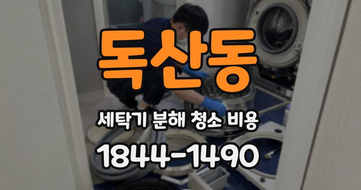 독산동 세탁기 분해 청소 비용