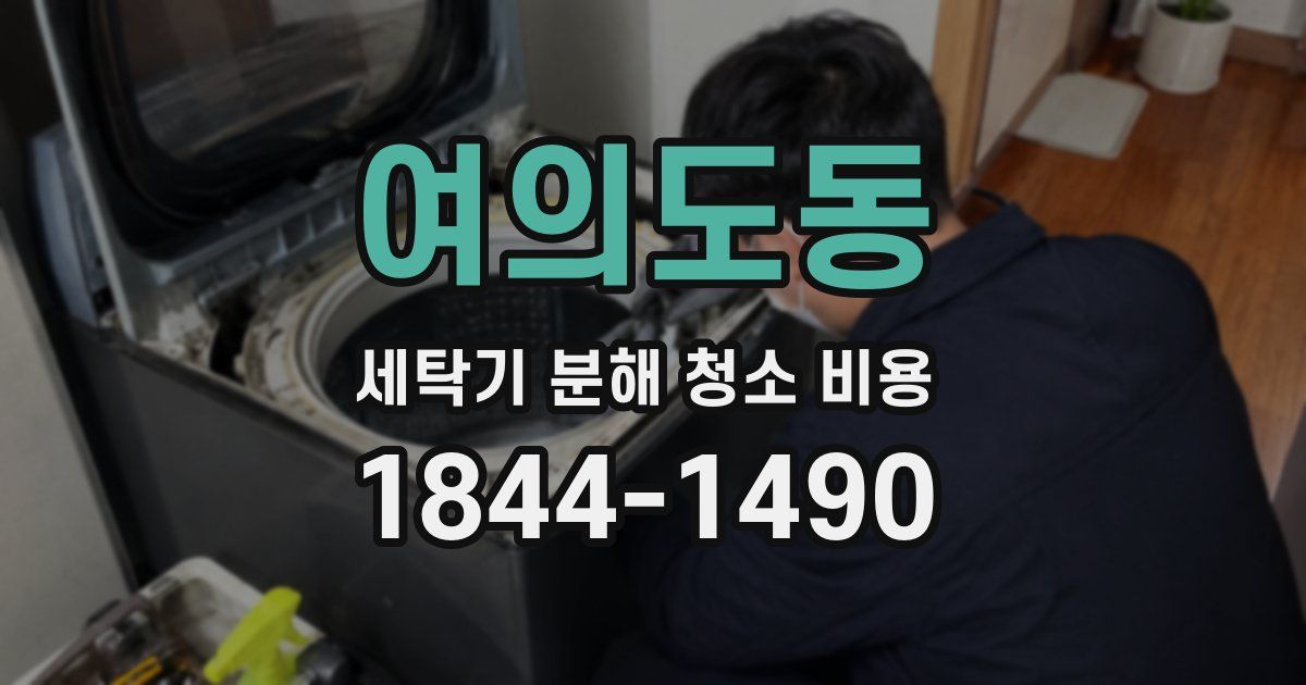 여의도동 세탁기 분해 청소 비용