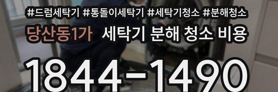 당산동1가 세탁기 분해 청소 비용
