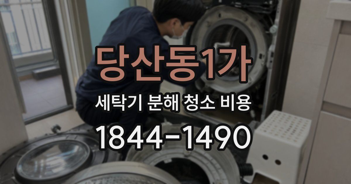 당산동1가 세탁기 분해 청소 비용