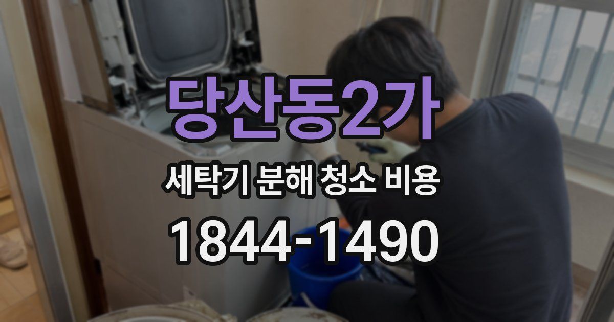당산동2가 세탁기 분해 청소 비용